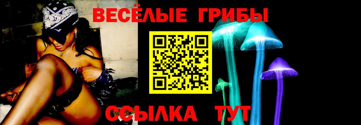 Псилоцибиновые грибы мицелий Нижний Тагил